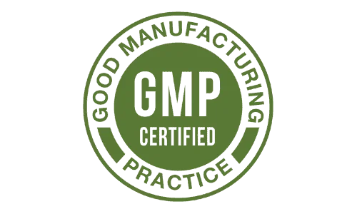 CogniSurge brain supplement GMP approved production